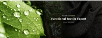 banner.jpg